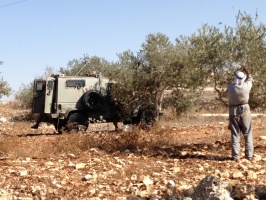 22102013-soldiers-watching-olive-harvest-2-kafr-al-labad-a-aguilar