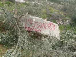Destroyed trees with "Price Tag" slogan, May 2012, Beit ‘Ummar – Al-Haq©