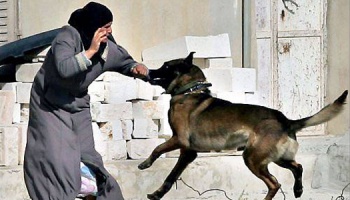 Israeli-Army-Attack-with-Dog