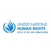 Joint Statement: Continued Delay of the UN Database by the UN High Commissioner for Human Rights, Unfounded and Unacceptable