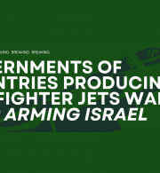 Over 230 global organisations demand governments producing F-35 jets stop arming Israel