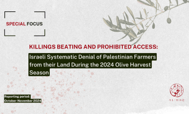 Killings Beatings and Prohibited Access: Israeli Systematic Denial of Palestinian Farmers From their Land during the 2024 Olive Harvest Season 