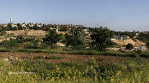 Al-Haq Submission to UN Special Rapporteur: The Need to Hold Accountable Nonprofit Enterprises Entrenching Zionist Colonisation of Palestine, through Illegal Israeli Settlement Activity