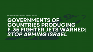 Over 230 global organisations demand governments producing F-35 jets stop arming Israel