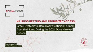 Killings Beatings and Prohibited Access: Israeli Systematic Denial of Palestinian Farmers From their Land during the 2024 Olive Harvest Season 