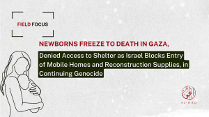 Field Focus: Newborns Freeze to Death in Gaza