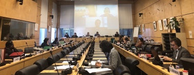 Al-Haq’s Engagement with the UN Committee on Economic, Social and Cultural Rights for Israel’s Fourth Periodic Review